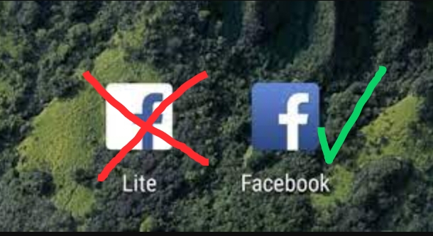 You can only create a poll on Facebook app not Facebook lite 